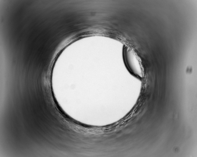 X0000103440004200810101115