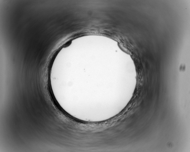 X0000103440005200810101115