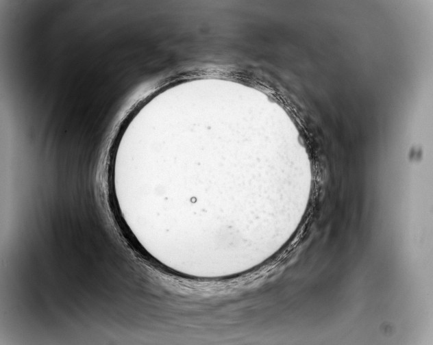 X0000103440006200810101115