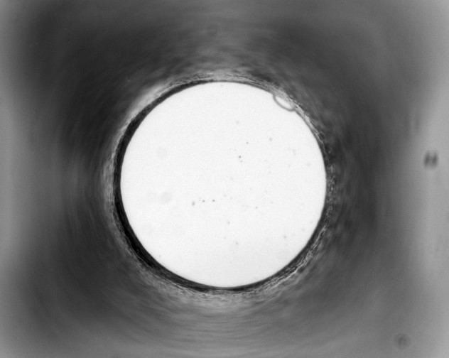 X0000103440008200810101115