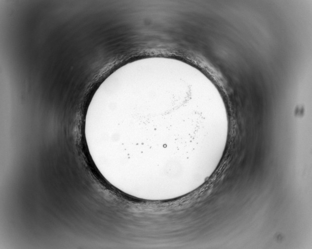X0000103440009200810101115