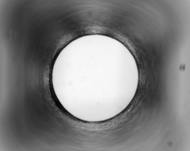 X0000103440010200810101115