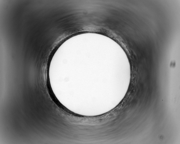 X0000103440011200810101115