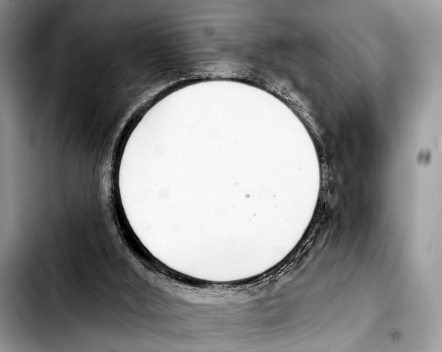 X0000103440012200810101115