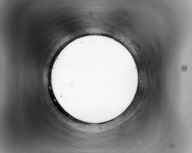 X0000103440015200810101115