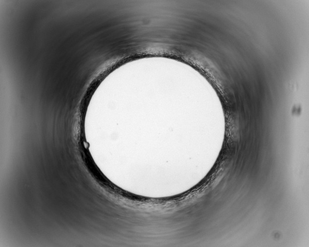 X0000103440016200810101115