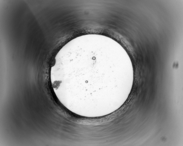X0000103440017200810101115