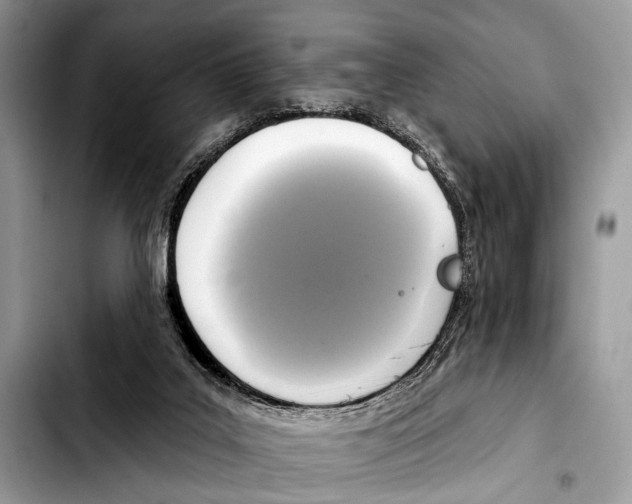 X0000103440019200810101115