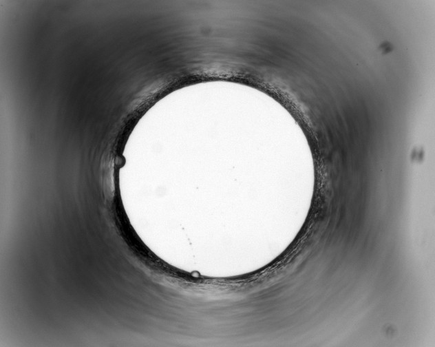 X0000103440020200810101115