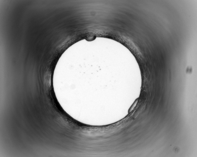 X0000103440021200810101115