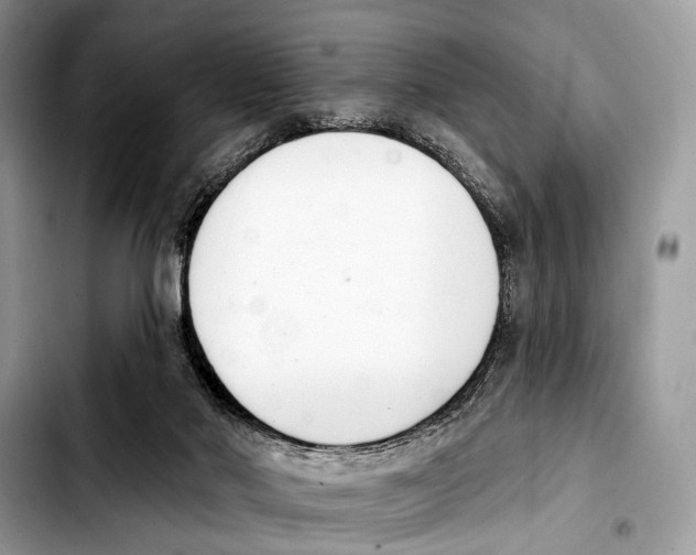 X0000103440022200810101115