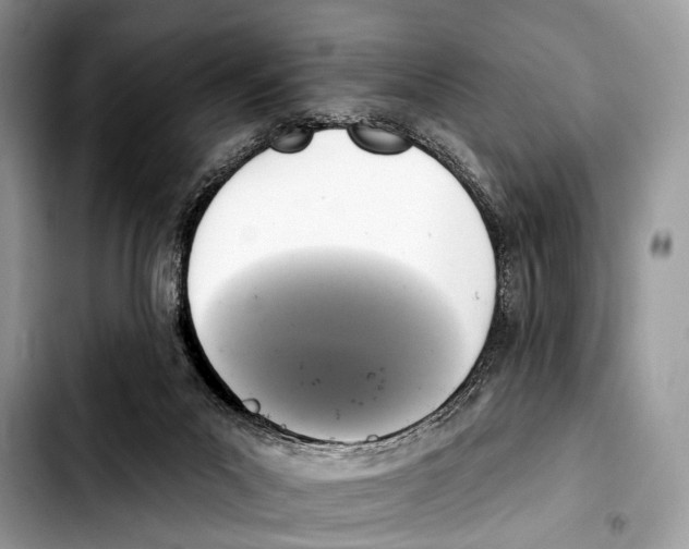 X0000103440023200810101115