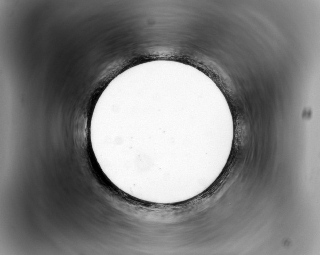X0000103440024200810101115