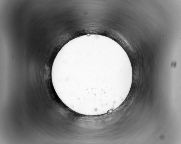 X0000103440025200810101115