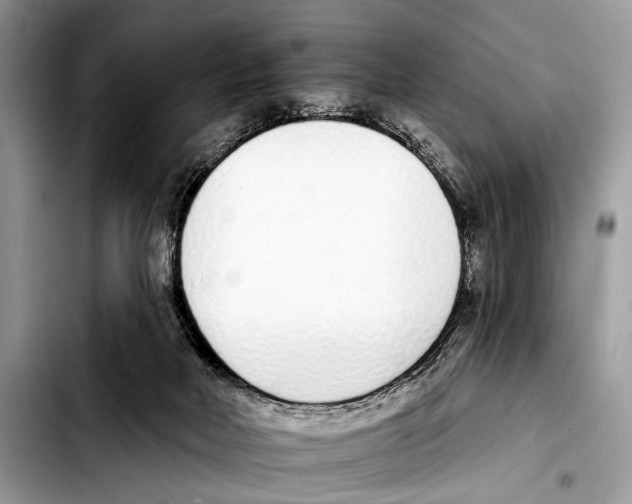 X0000103440026200810101115