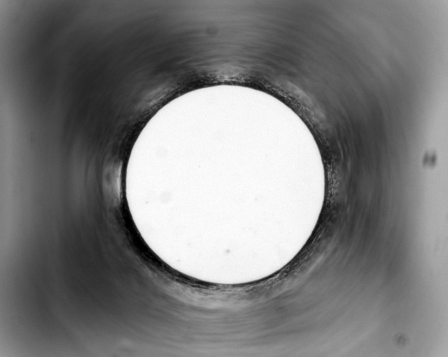 X0000103440028200810101115