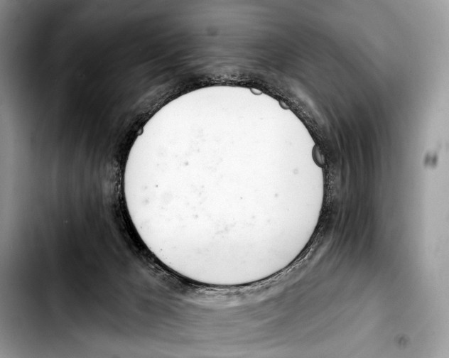 X0000103440029200810101115