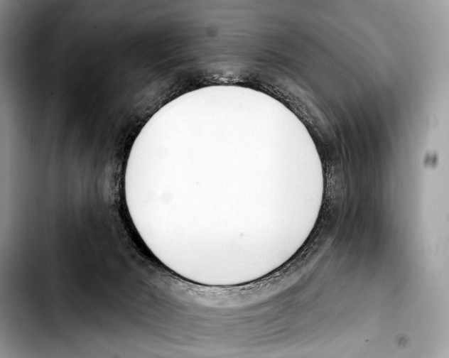 X0000103440030200810101115