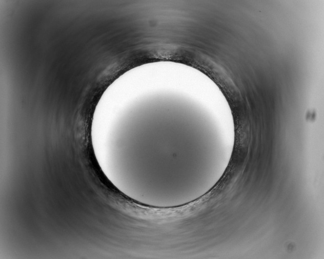X0000103440031200810101115