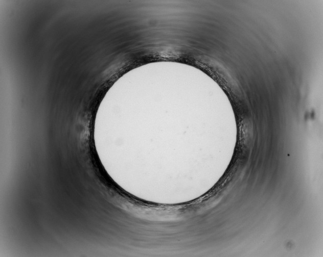X0000103440032200810101115