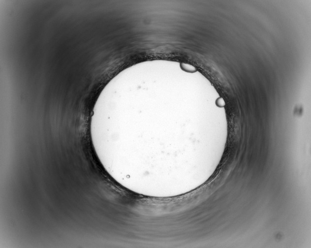 X0000103440033200810101115