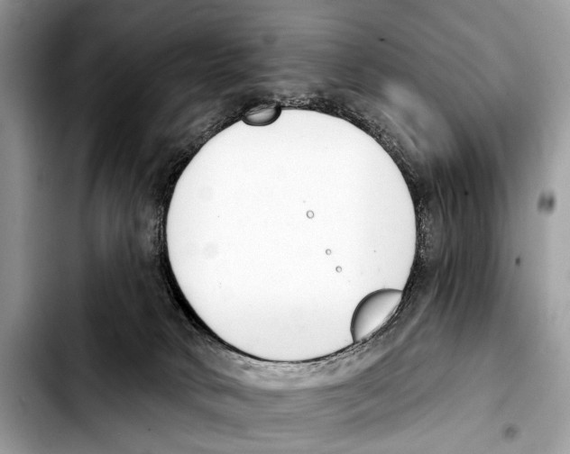 X0000103440034200810101115