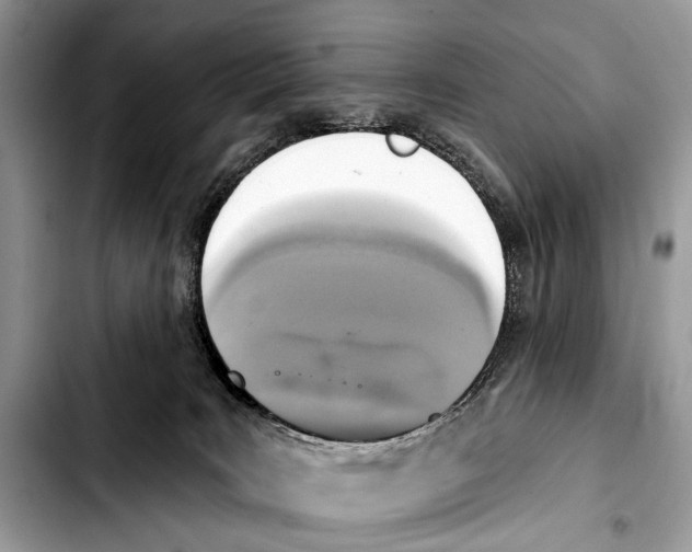 X0000103440035200810101115