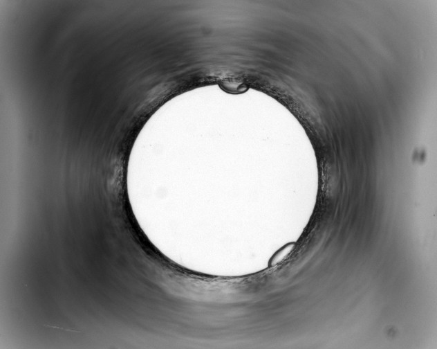 X0000103440036200810101115