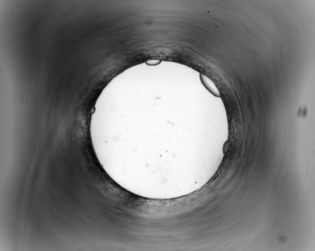 X0000103440037200810101115
