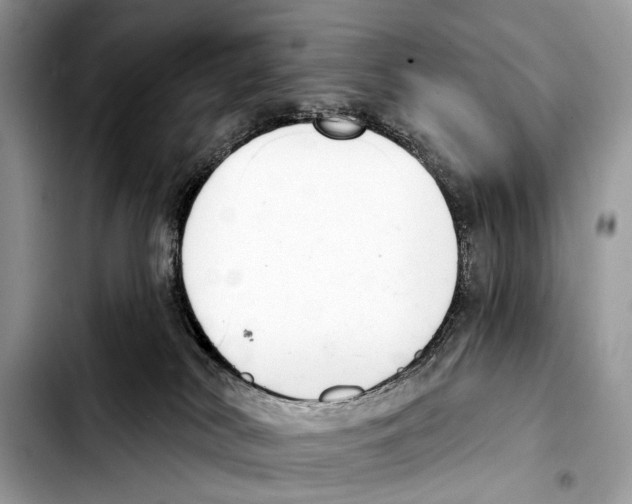 X0000103440038200810101115