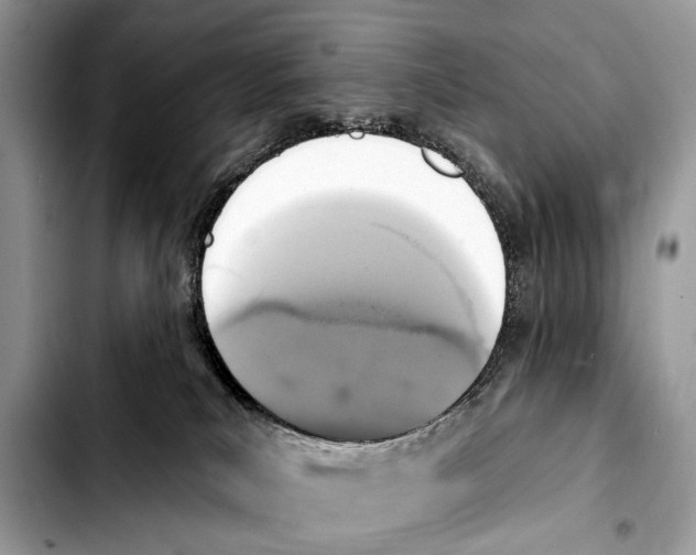 X0000103440039200810101115