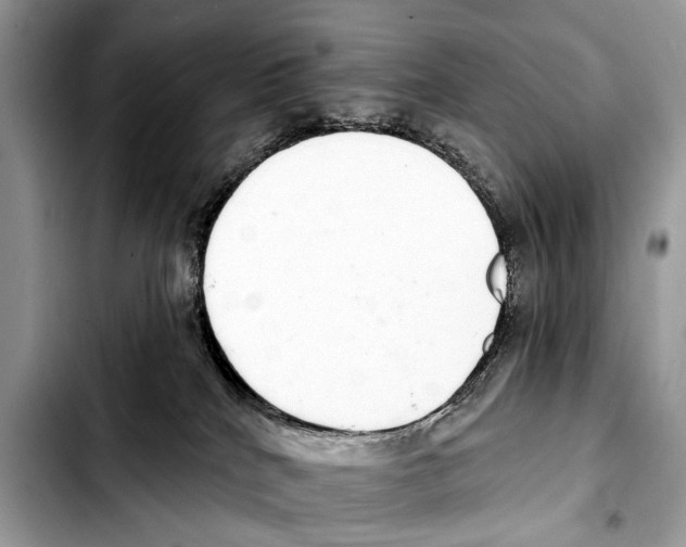 X0000103440040200810101115