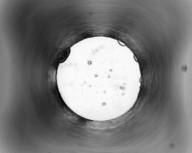 X0000103440041200810101115