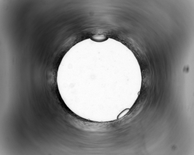 X0000103440044200810101115