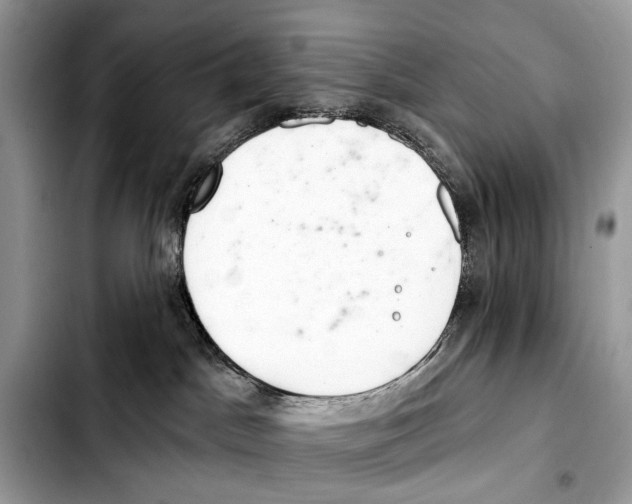 X0000103440045200810101115