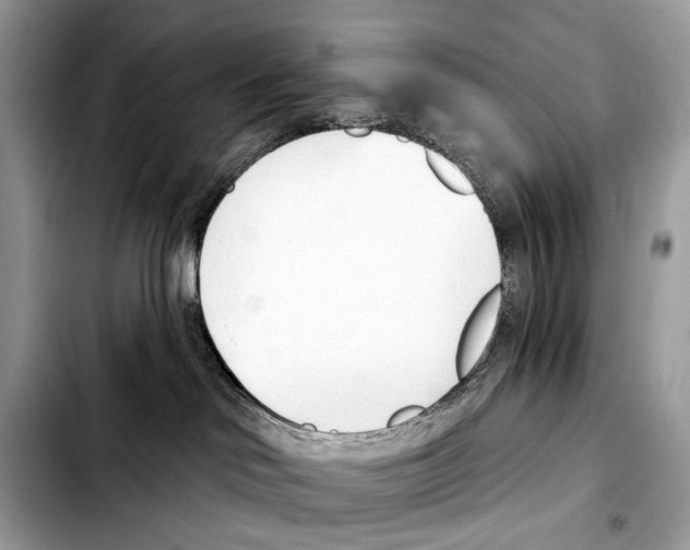 X0000103440046200810101115