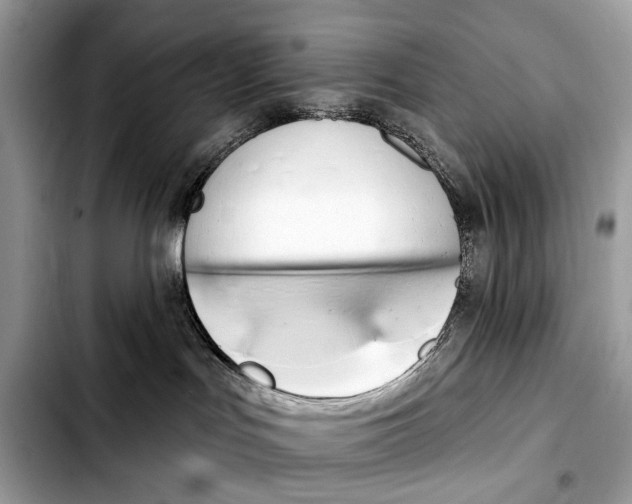 X0000103440047200810101114
