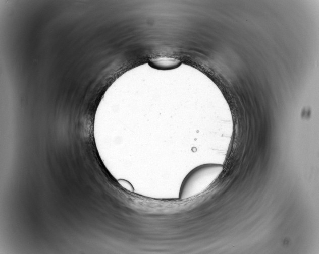 X0000103440048200810101114