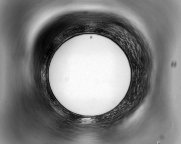 X0000103440050200810101114
