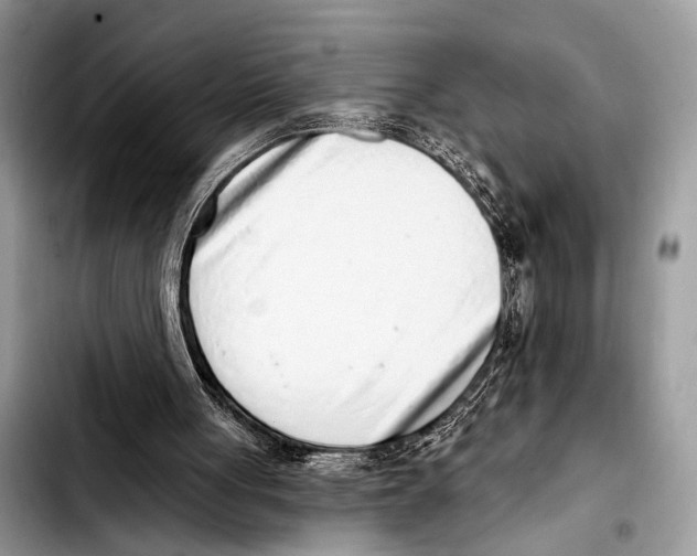 X0000103440051200810101114