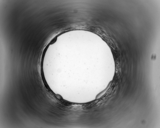 X0000103440052200810101114