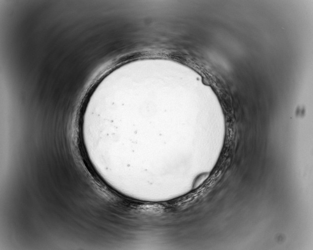 X0000103440053200810101114