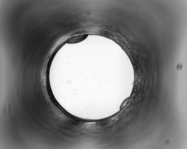 X0000103440054200810101114