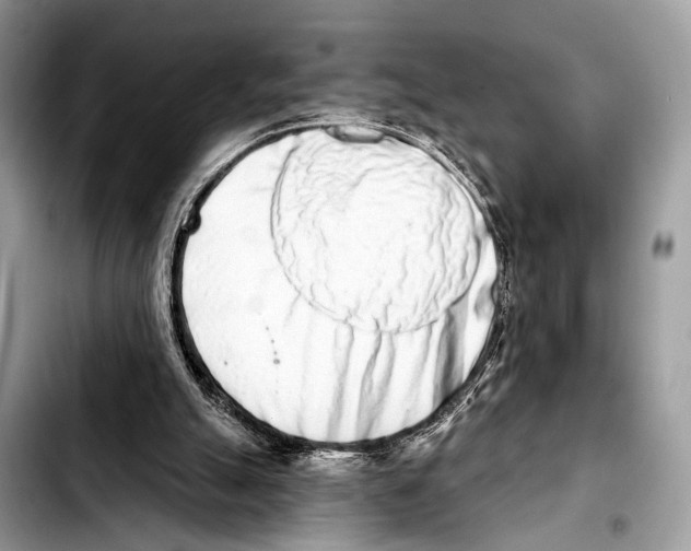 X0000103440055200810101114
