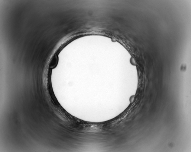 X0000103440056200810101114