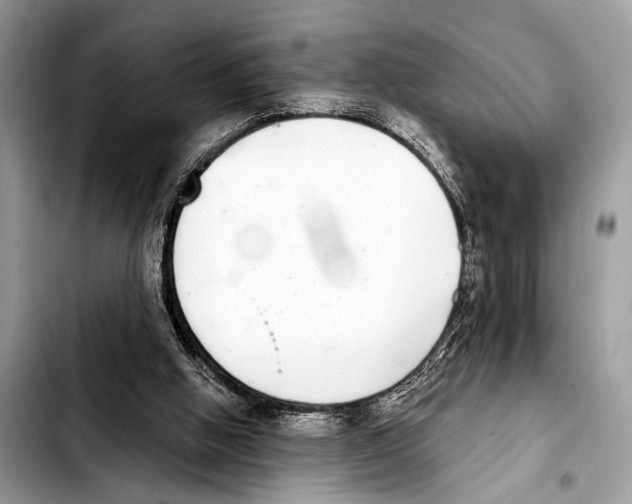 X0000103440058200810101114