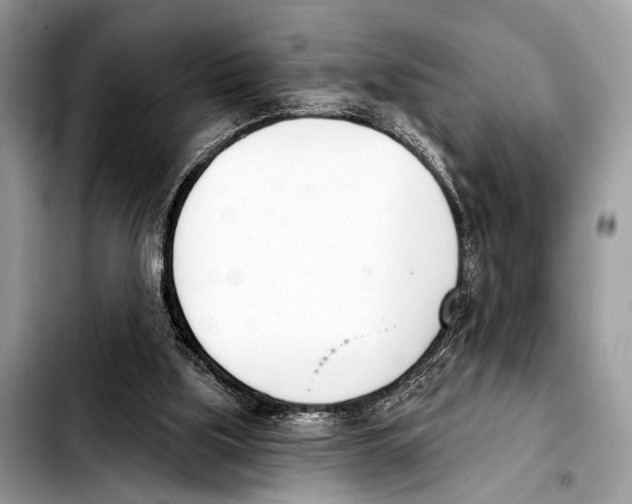 X0000103440059200810101114