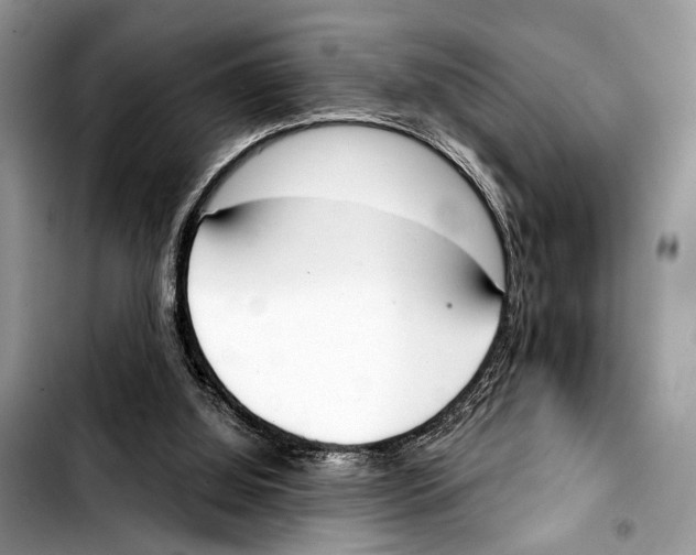 X0000103440060200810101114