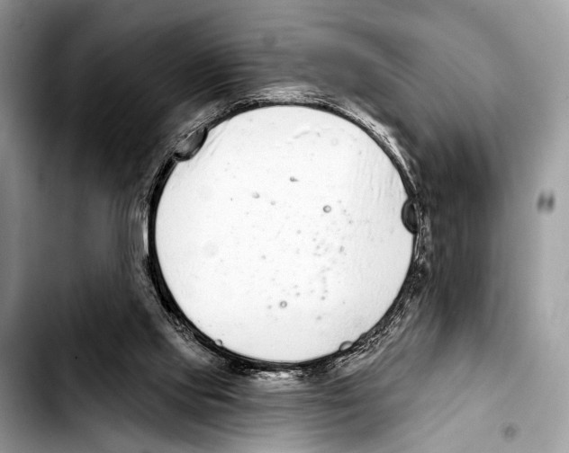 X0000103440061200810101114