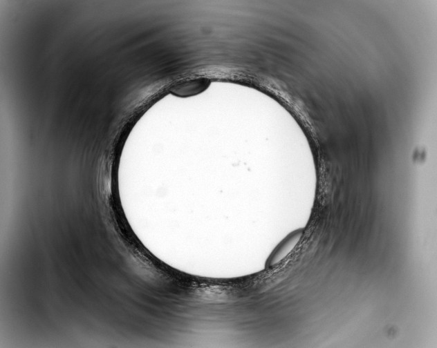 X0000103440062200810101114